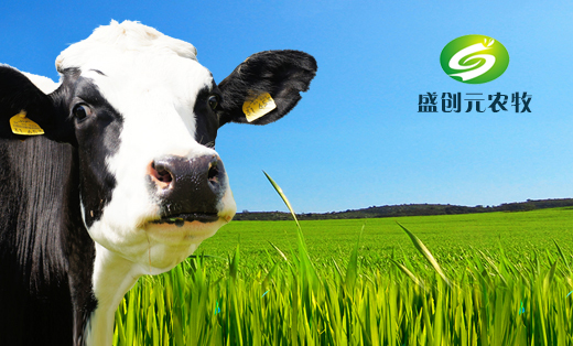 盛创元农牧科技有限公司